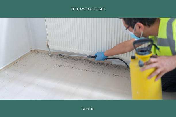 PEST CONTROL Kerrville